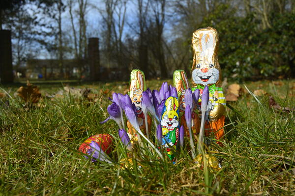 Bild vergr&ouml;&szlig;ern: Osterhasen Schloss Dreil&uuml;tzow